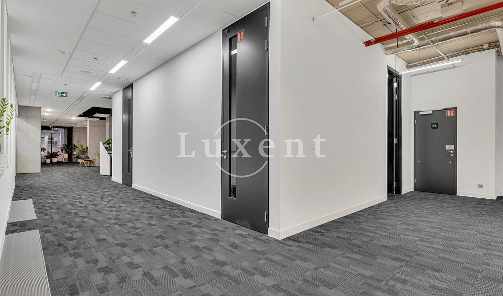 Pronájem kanceláře 1 560 m², Praha – náhled fotky 4
