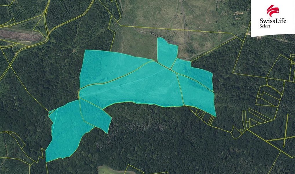 Prodej louky 216 333 m², Ústí nad Labem – náhled fotky 2