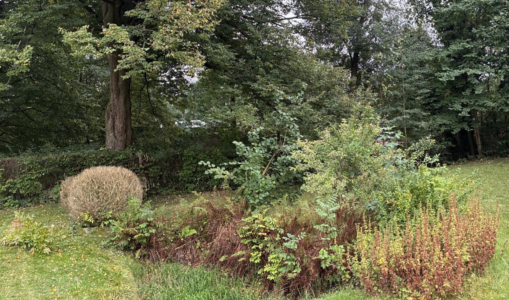 Prodej chaty/chalupy 276 m² s pozemkem 1 180 m², Růžová – náhled fotky 33
