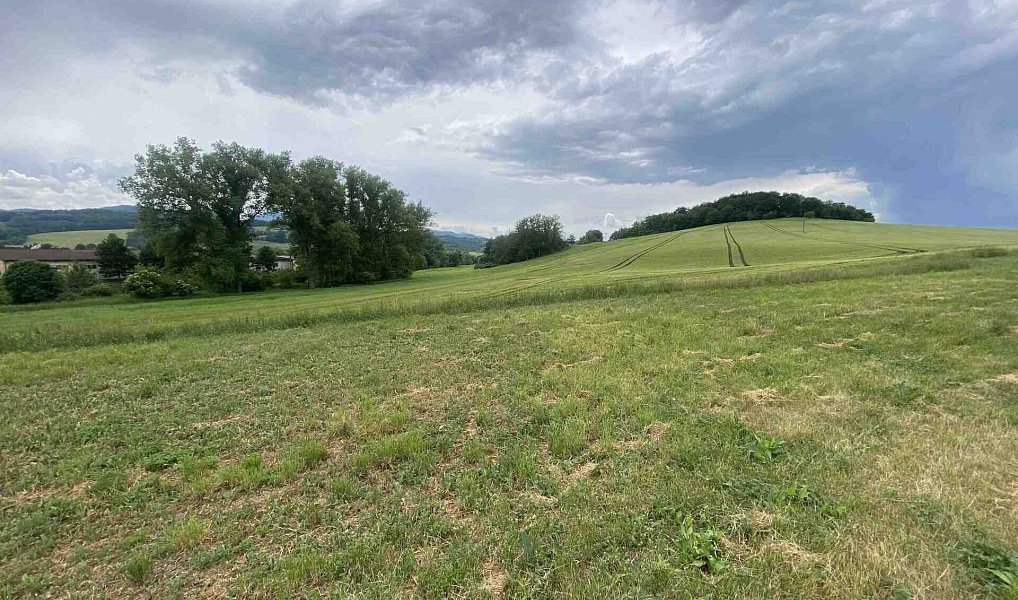 Prodej pozemku 1 561 m², Řehlovice – náhled fotky 2