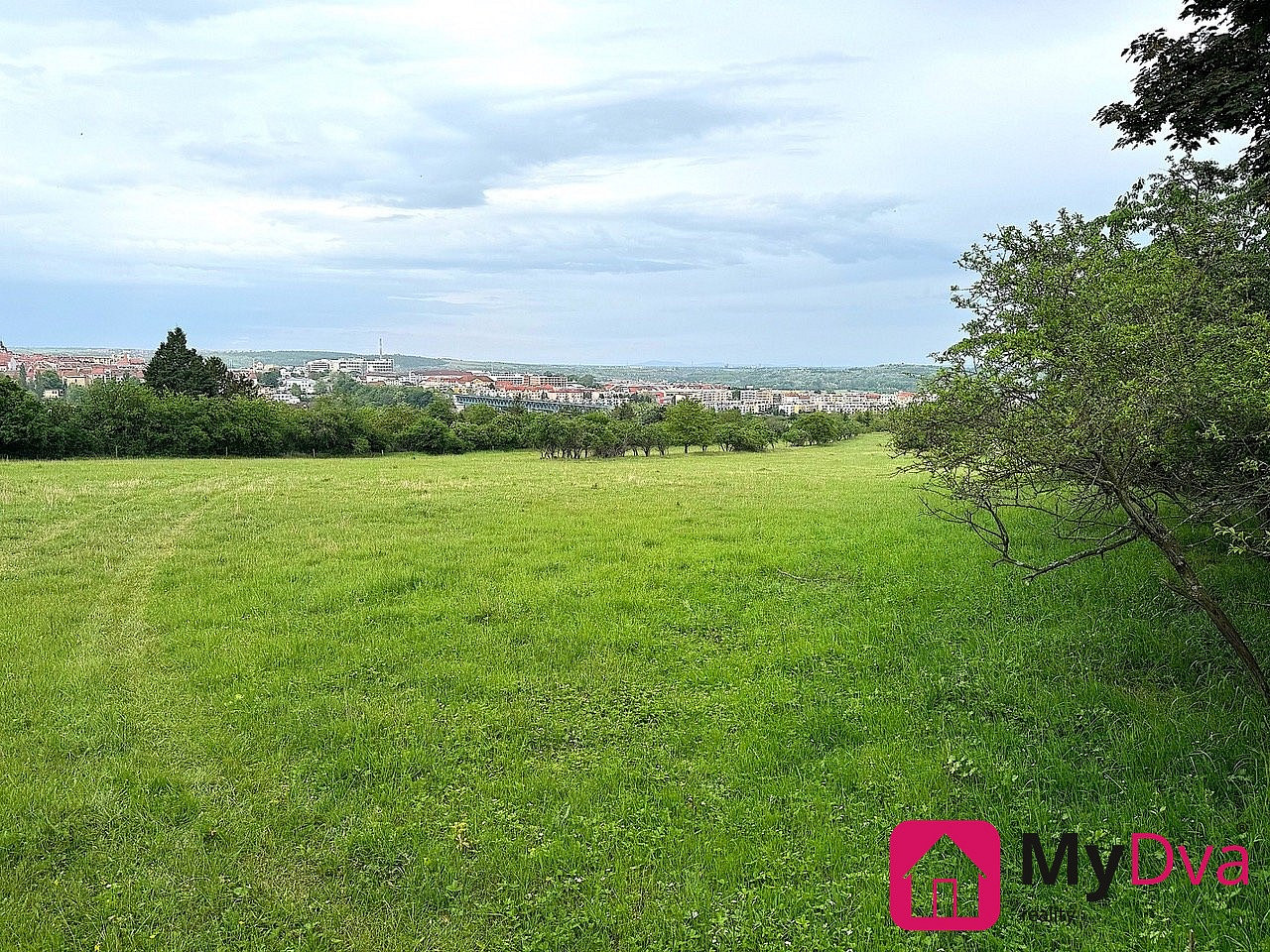 Prodej pole 7 045 m² – fotografie 3