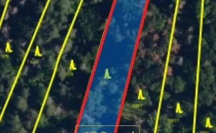 Prodej lesa 2 470 m², Březina, okres Brno-venkov