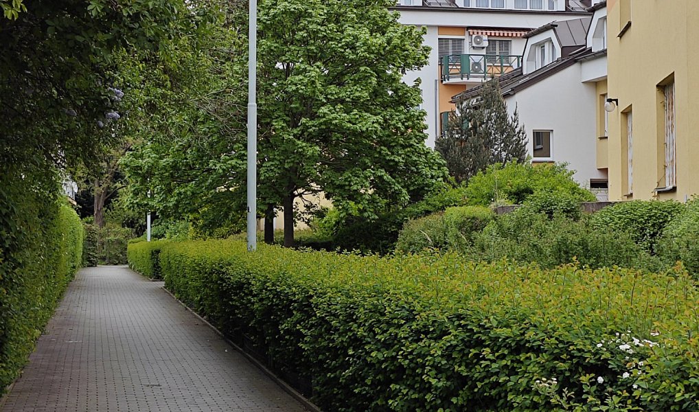 Prodej komerčního objektu (jiného typu) 86 m², Praha – náhled fotky 12