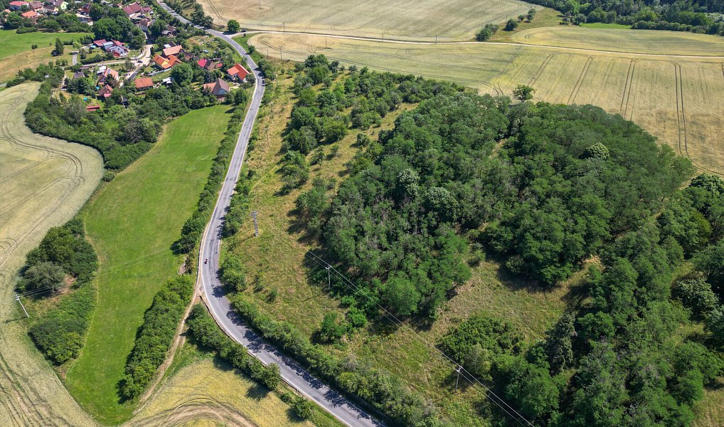 Prodej zahrady 16 882 m², Zvíkovec, okres Rokycany
