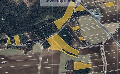Prodej lesa 96 975 m², Oseček, okres Nymburk