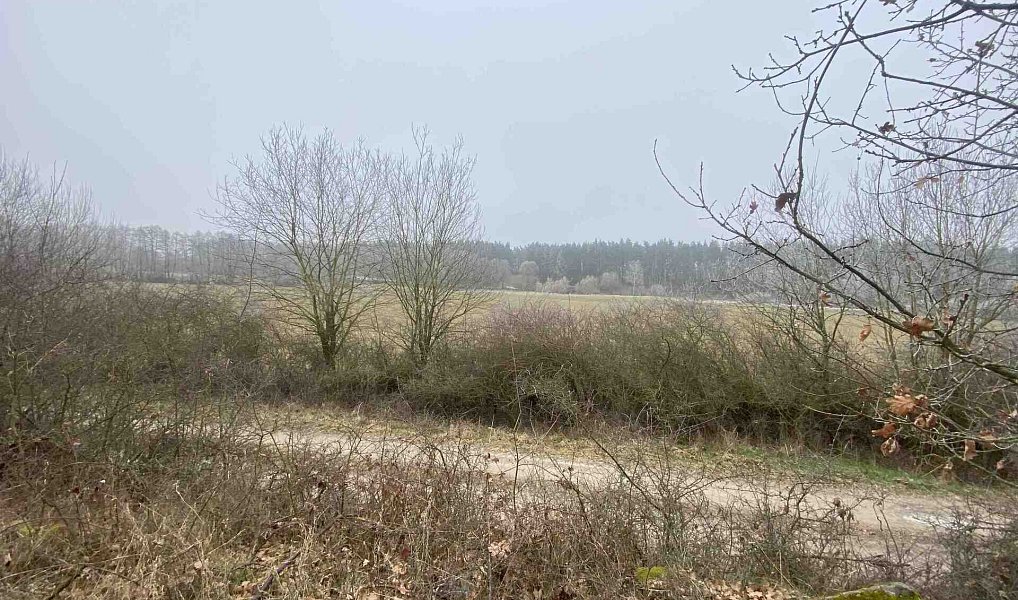 Prodej pole 13 059 m², Slatina – náhled fotky 9