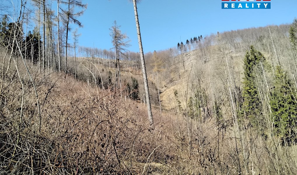 Prodej pozemku 12 588 m², Pstruží – náhled fotky 5