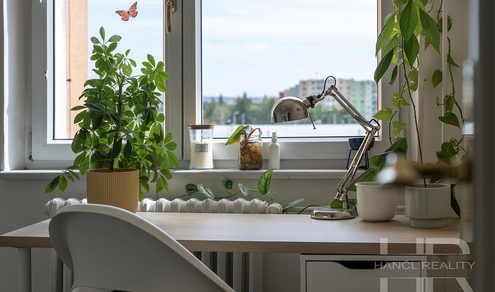 Prodej bytu 3+1 66 m², Brno – náhled fotky 17