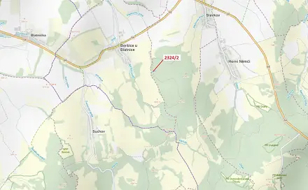 Dražba lesa 1 060 m², Boršice u Blatnice