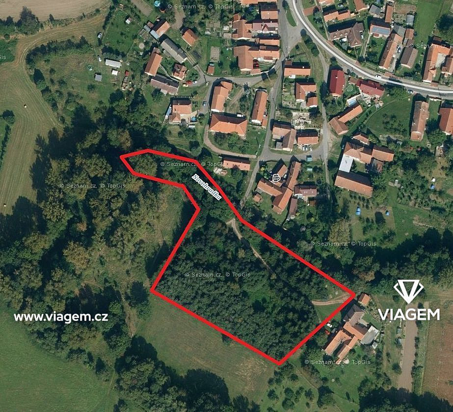 Prodej lesa 1 085 m², Chroustovice
