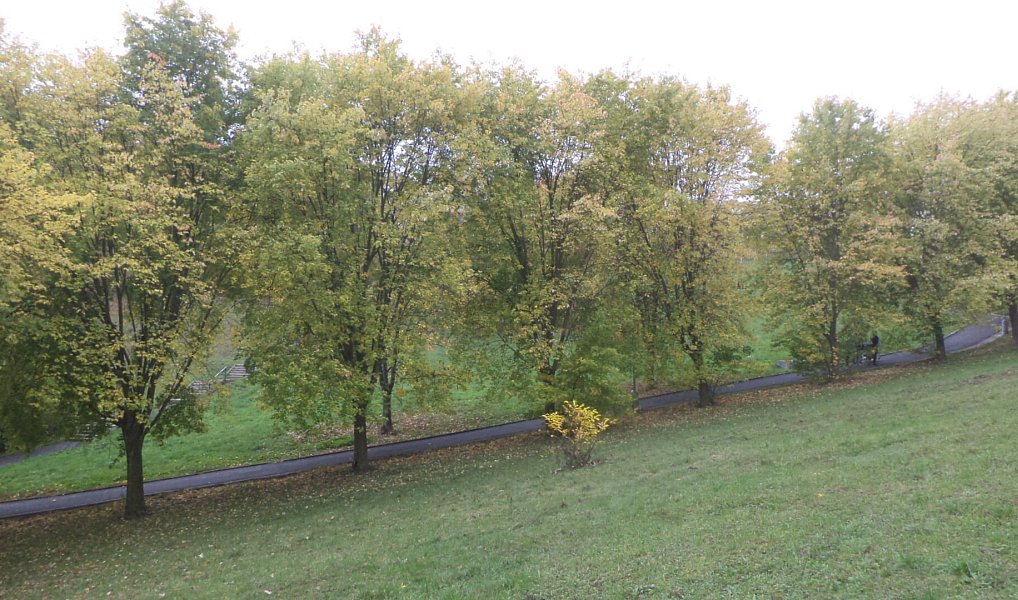 Prodej pozemku 1 044 m², Ústí nad Labem – fotka 1 z 5