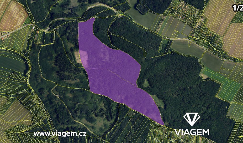 Prodej lesa 29 076 m², Troubsko – náhled fotky 4