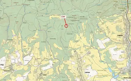 Dražba lesa 849 m², Lačnov