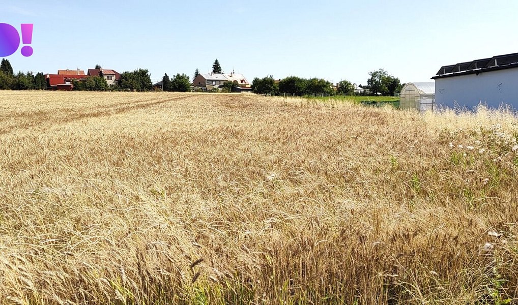 Prodej stavebního pozemku 5 182 m², Beňov – náhled fotky 8