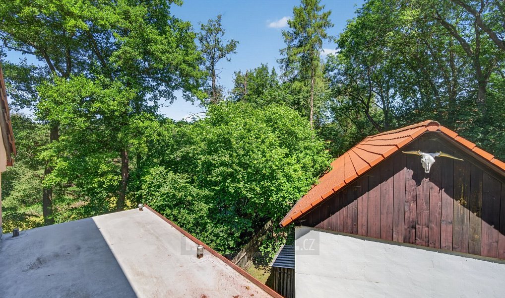Prodej domu 339 m² s pozemkem 9 216 m², Mirkovice – náhled fotky 25