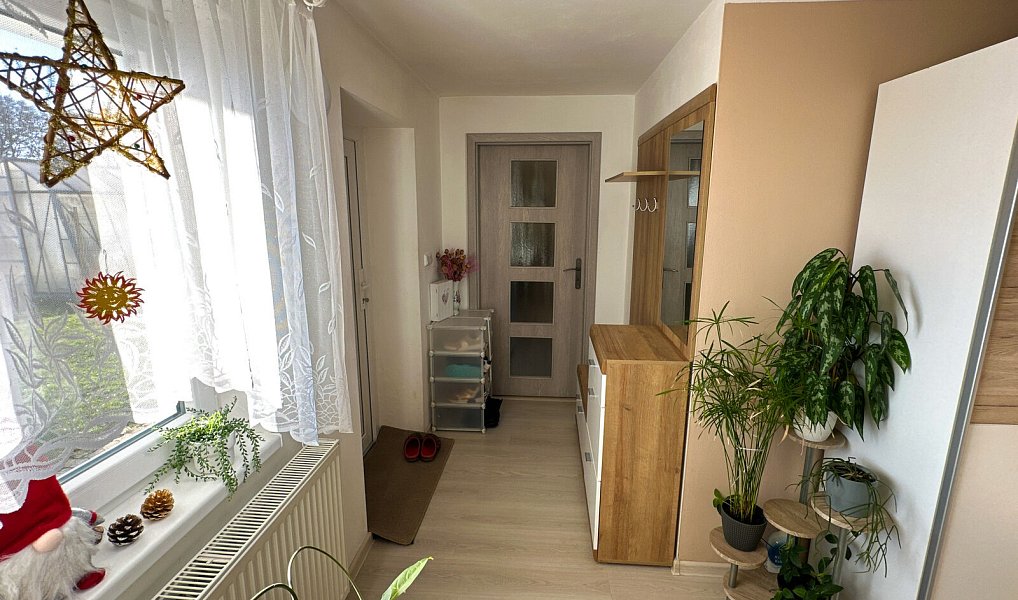 Prodej domu 300 m² s pozemkem 154 m², Tachov – náhled fotky 47