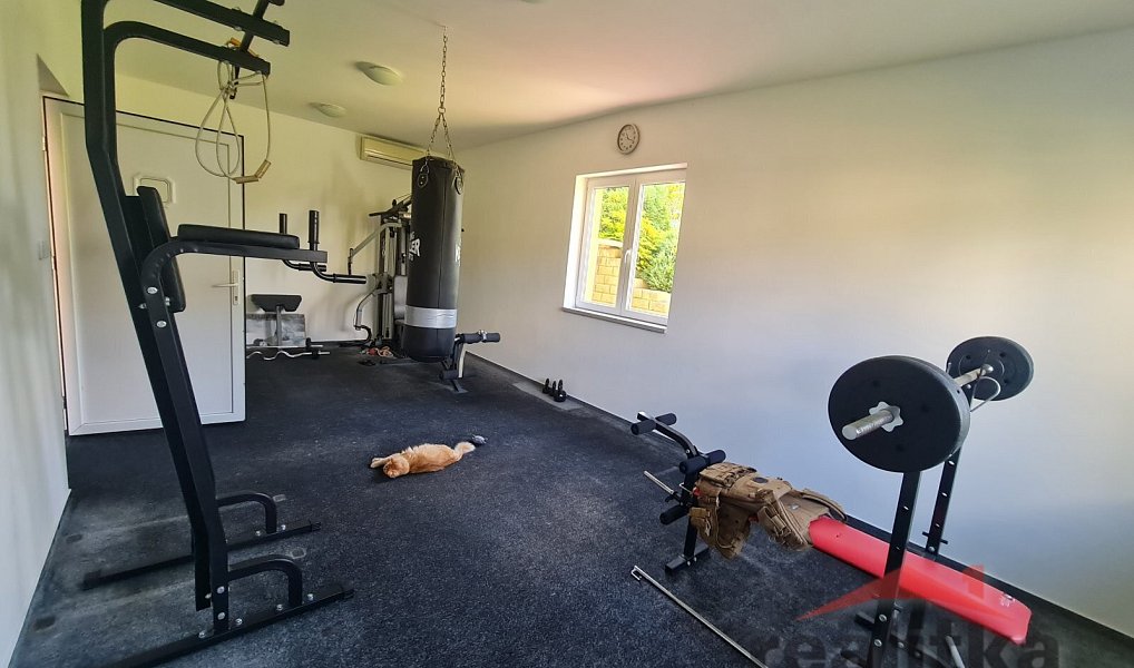 Prodej domu 334 m² s pozemkem 533 m², Opava – náhled fotky 38
