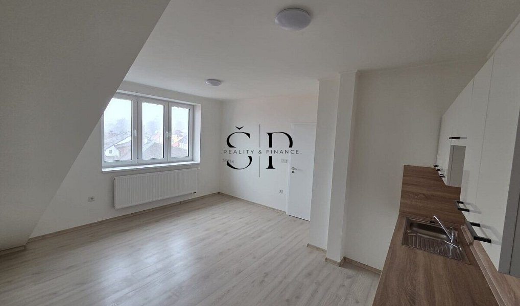 Pronájem bytu 1+1 41 m², Černovice – náhled fotky 2