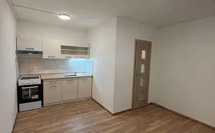 Pronájem bytu 1+kk 16 m², Síbova, Bílina - Újezdské Předměstí, okres Teplice