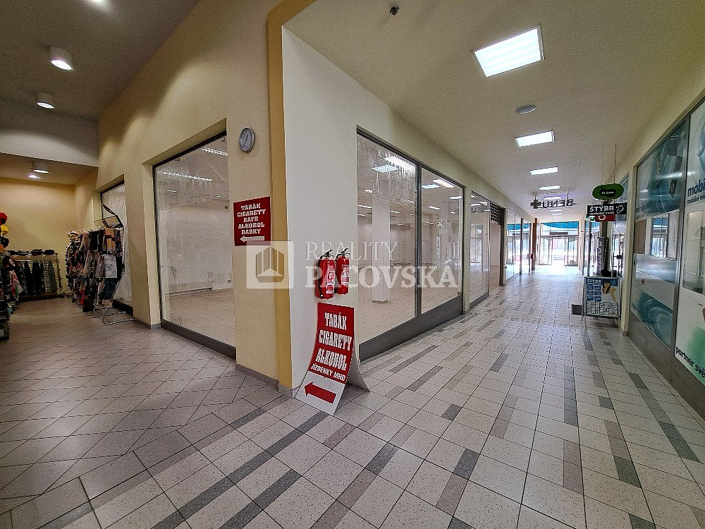 Pronájem obchodních prostor 235 m² – fotografie 4