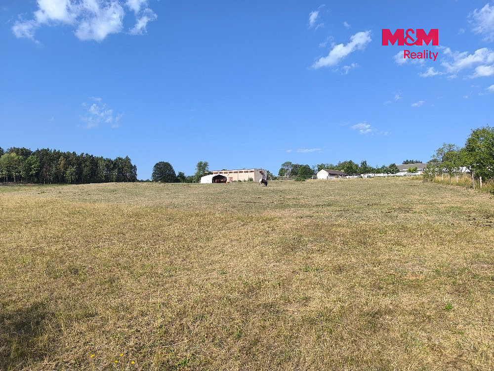 Prodej louky 2 004 m² – fotografie 4