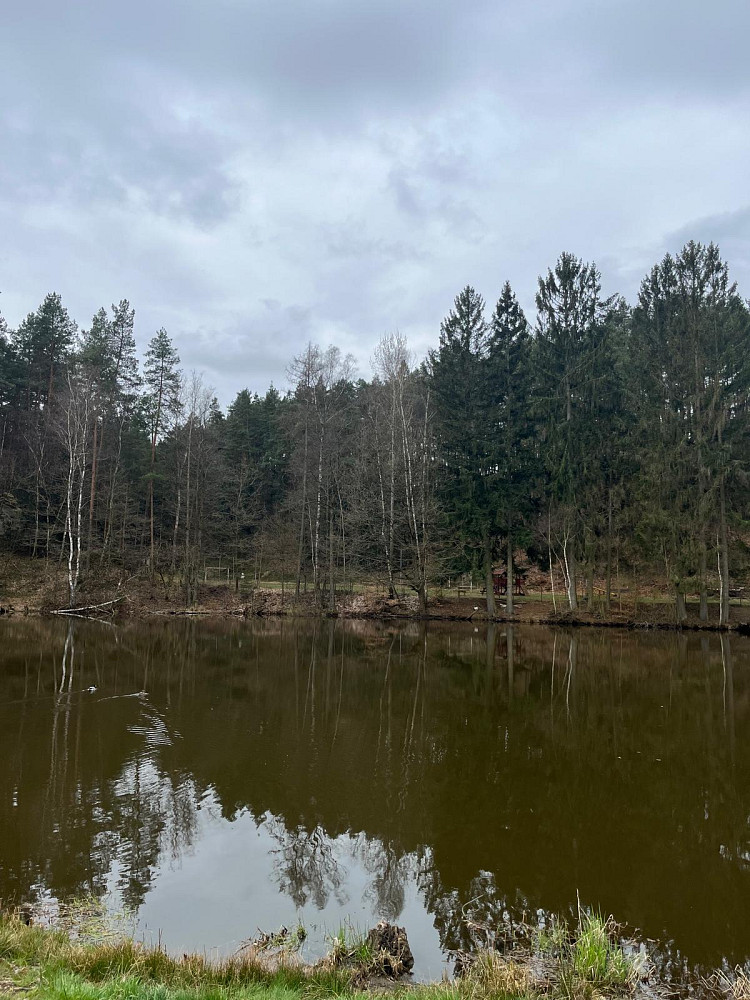 Prodej chaty/chalupy 150 m² – fotografie 4