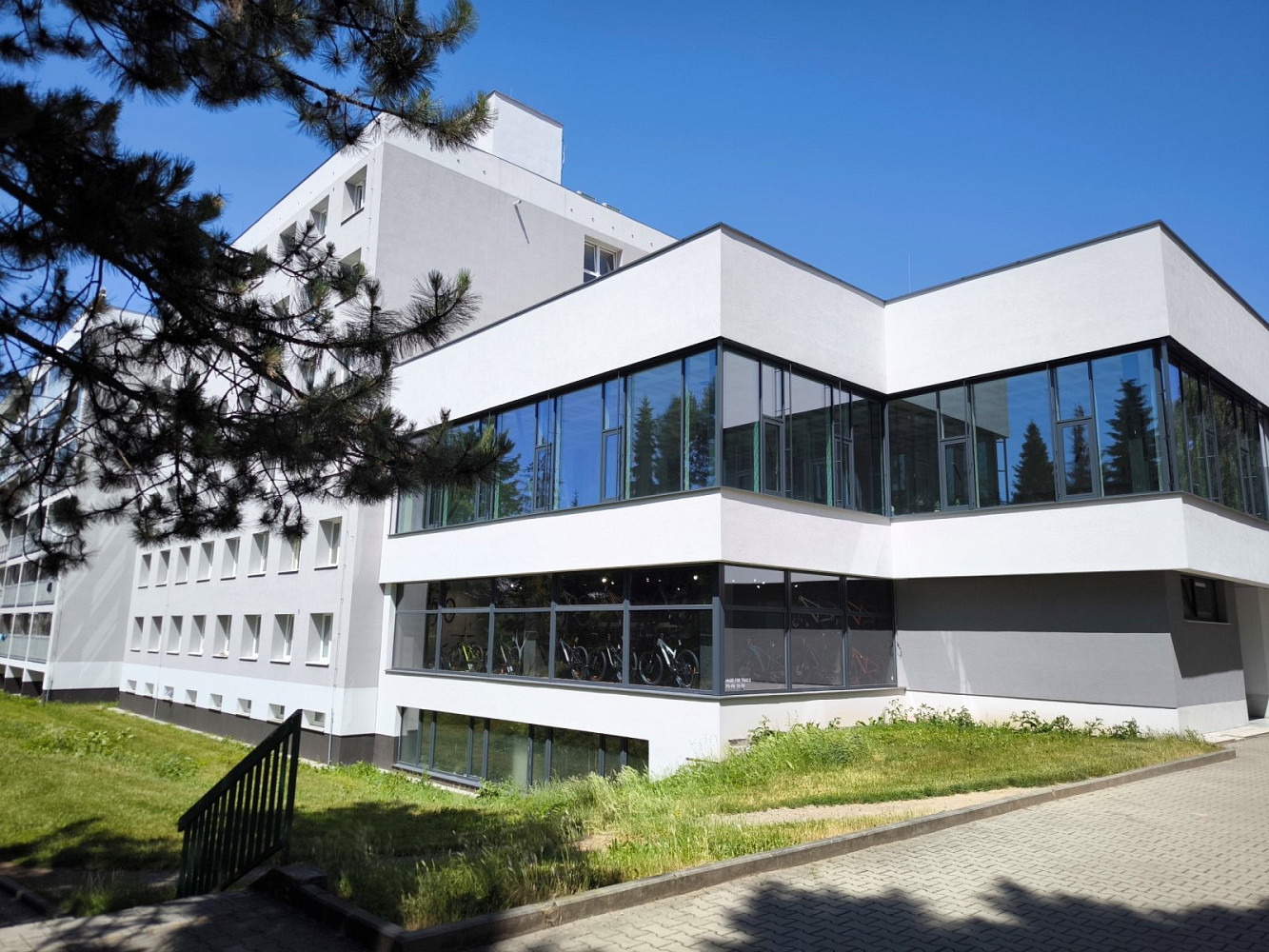 Pronájem obchodních prostor 356 m² – fotografie 2