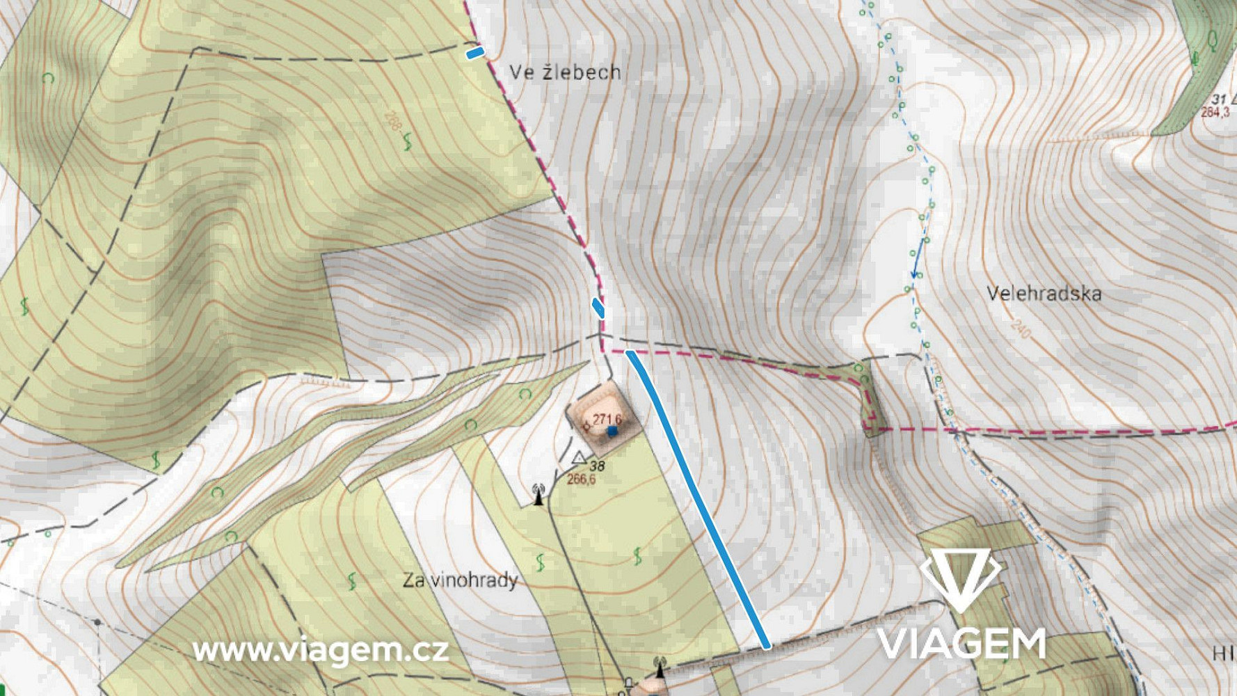 Prodej pole 1 035 m² – fotografie 3