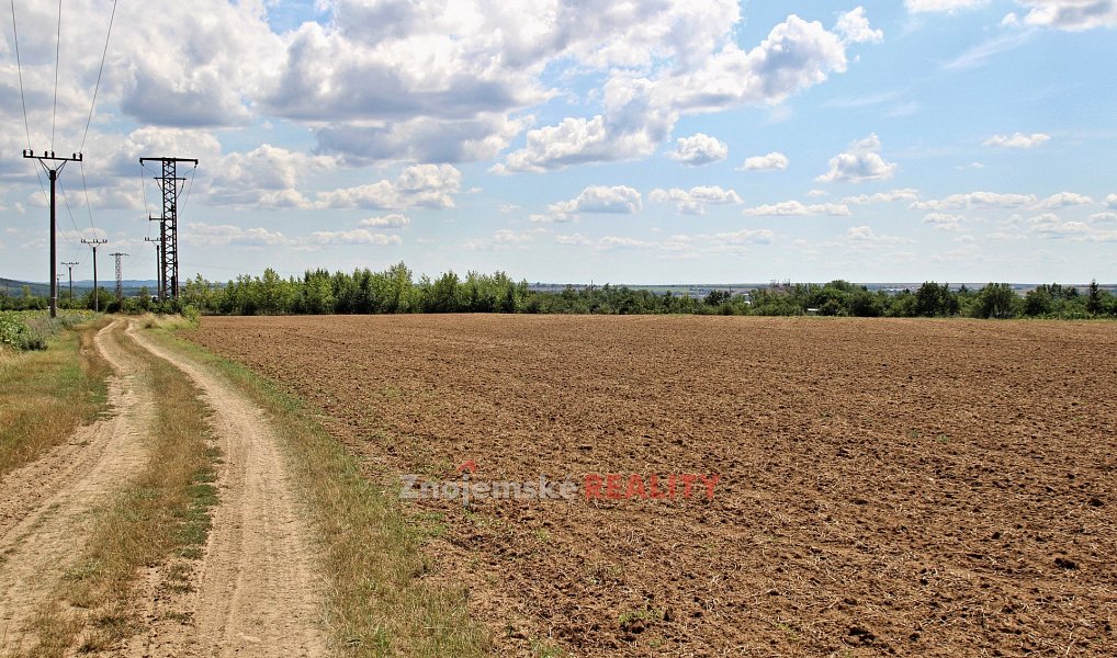 Prodej komerčního pozemku 19 700 m², Dobšice – náhled fotky 3