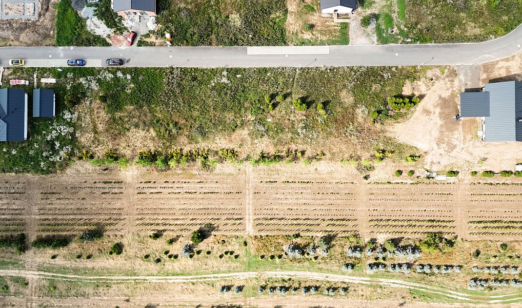 Prodej stavebního pozemku 1 005 m², Boseň – náhled fotky 9