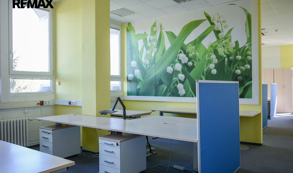 Pronájem kanceláře 315 m², Hradec Králové – náhled fotky 13