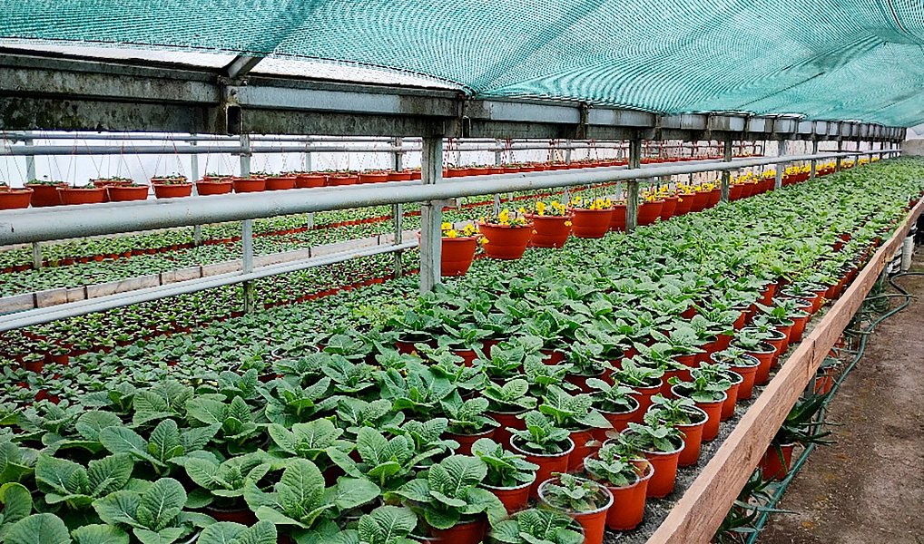 Prodej komerčního objektu (jiného typu) 956 m², Miřetice – náhled fotky 6