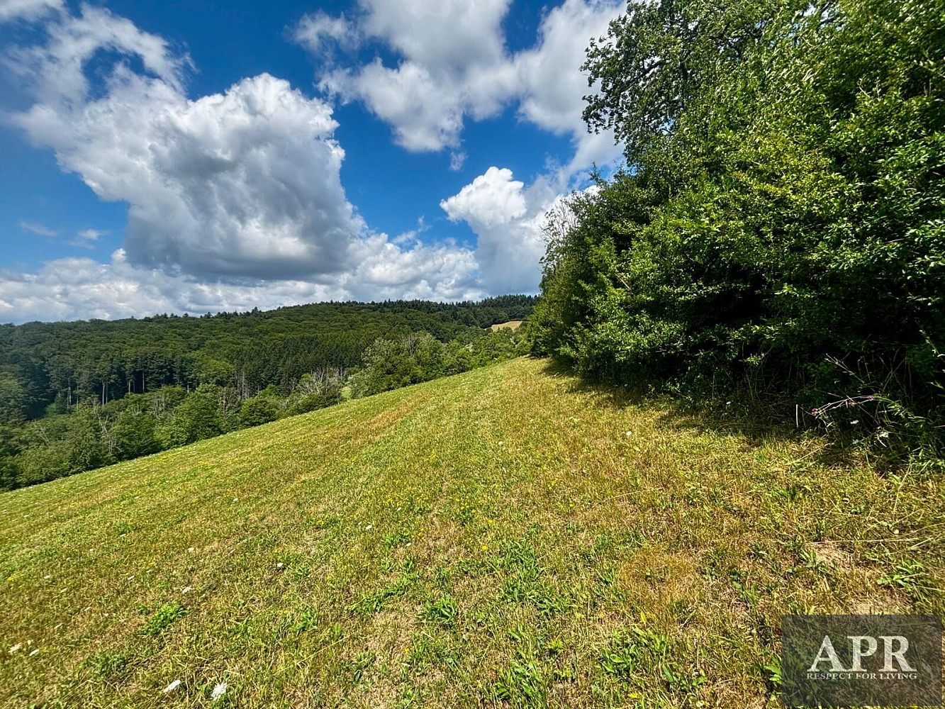 Prodej stavebního pozemku 6 433 m² – fotografie 3