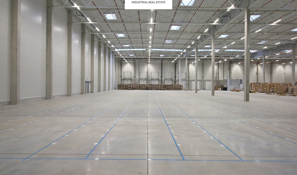 Pronájem skladovacích prostor 1 000 m², Pavlov – náhled fotky 8