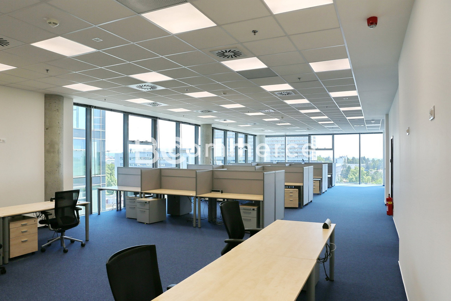 Pronájem kanceláře 349 m² – fotografie 2