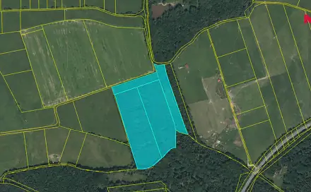 Prodej lesa 48 170 m², Mokrouše, okres Plzeň-město