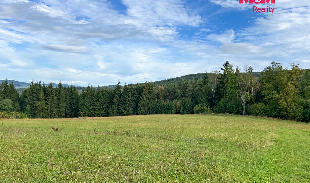 Prodej stavebního pozemku 64 409 m², Záblatí – náhled fotky 16