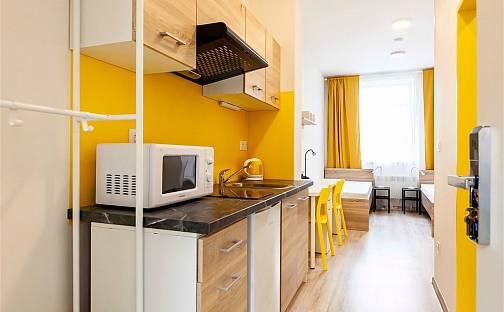 Pronájem bytu 1+kk 18 m², Hybešova, Brno - Staré Brno
