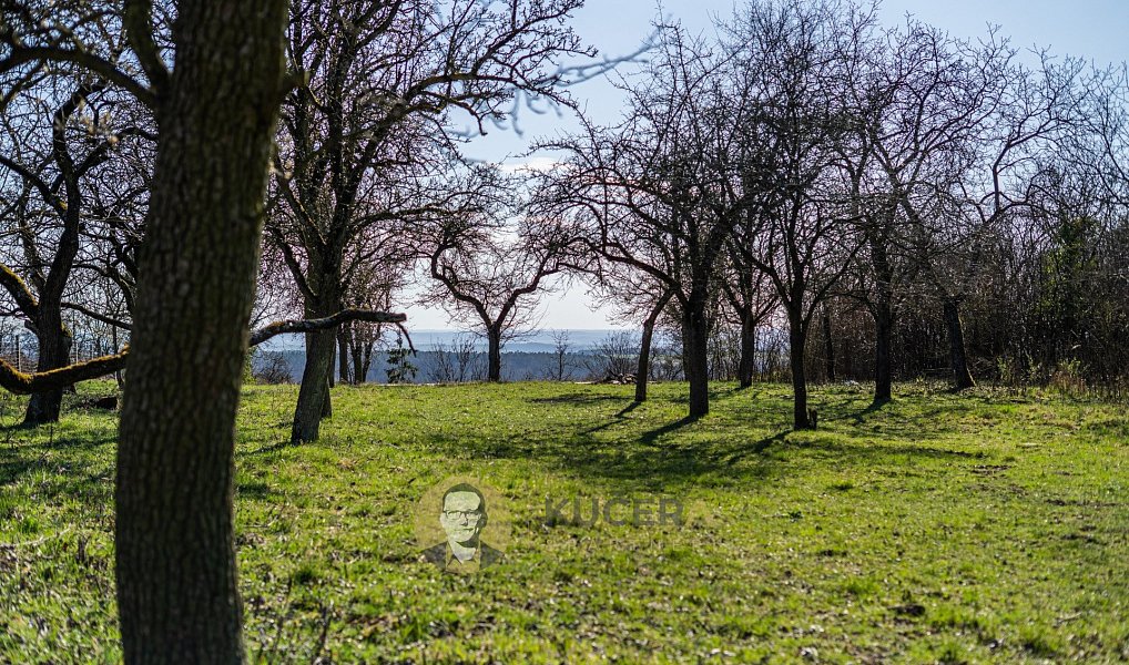 Prodej domu 100 m² s pozemkem 3 158 m², Střemy – náhled fotky 14