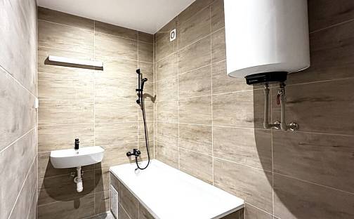 Prodej bytu 2+1 55 m², Houškova, Plzeň - Východní Předměstí