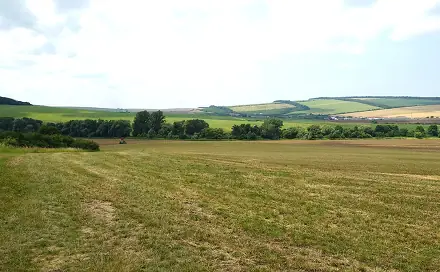 Prodej pole 6 120 m², Slavkov, okres Uherské Hradiště
