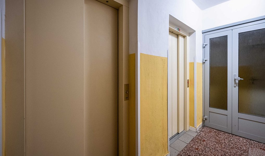 Prodej bytu 2+1 53 m², Pardubice – náhled fotky 19