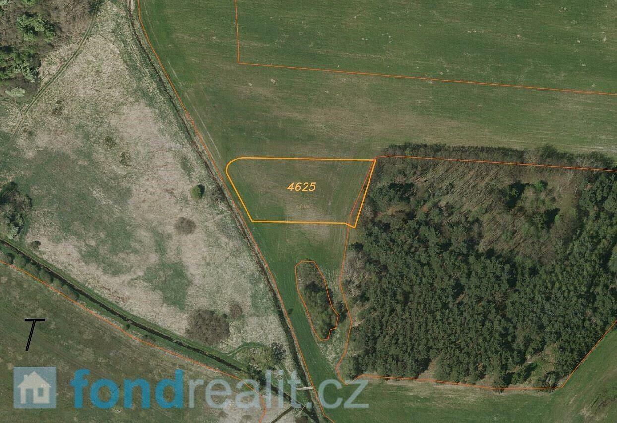Prodej pole 3 467 m² – fotografie 4