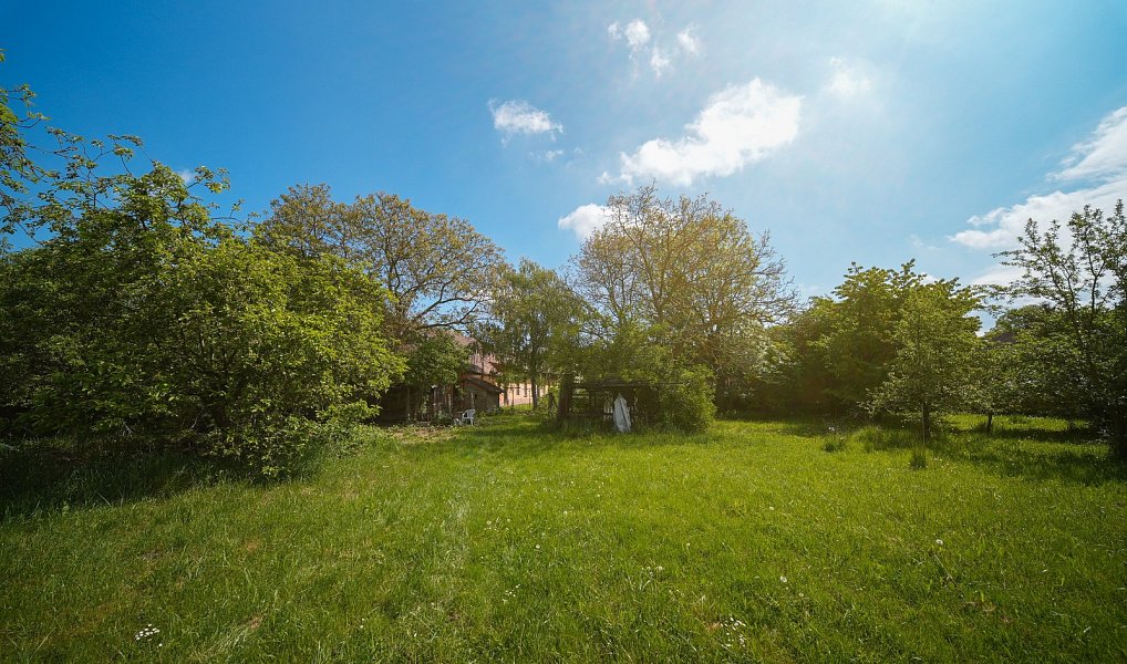 Prodej stavebního pozemku 5 013 m², Praskačka – náhled fotky 5