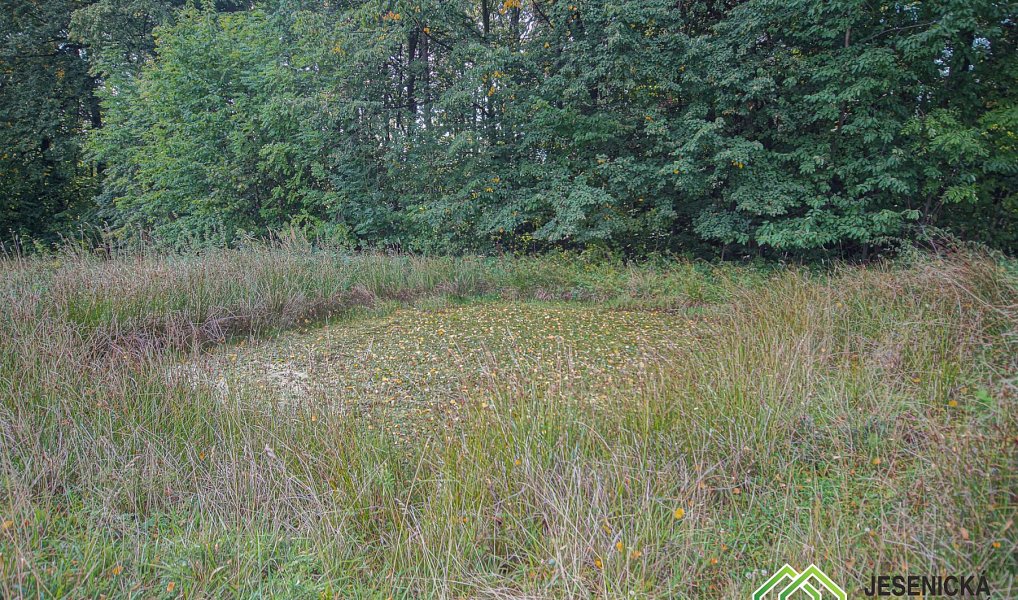 Prodej pole 16 809 m², Velké Kunětice – náhled fotky 12