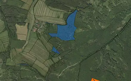 Prodej lesa 650 m², Městečko Trnávka, okres Svitavy