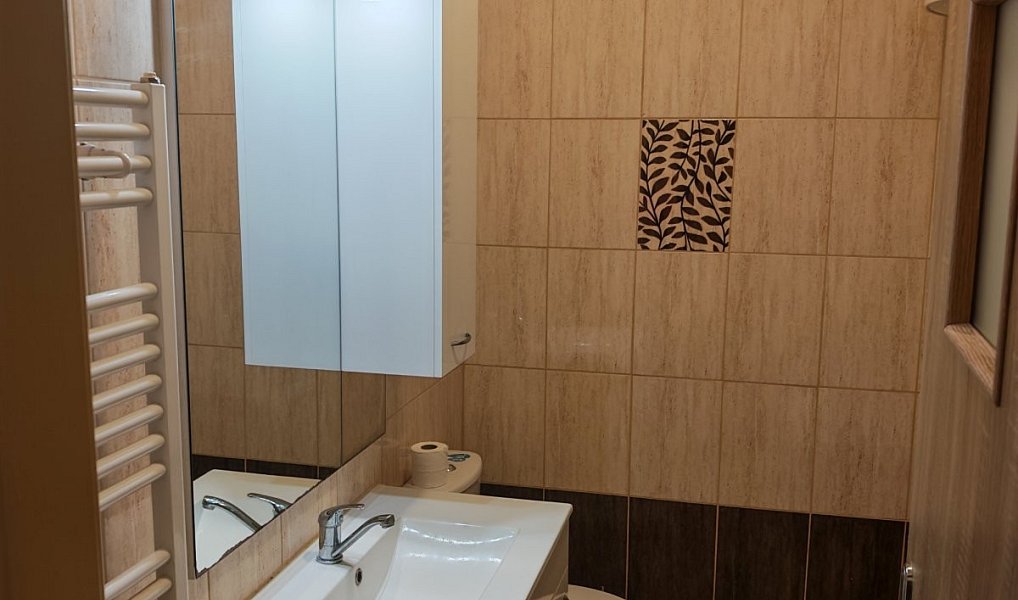 Pronájem bytu 1+1, 38 m², Nový Jičín, Odry