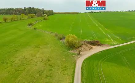 Prodej louky 730 m², Olešnice, okres Rychnov nad Kněžnou