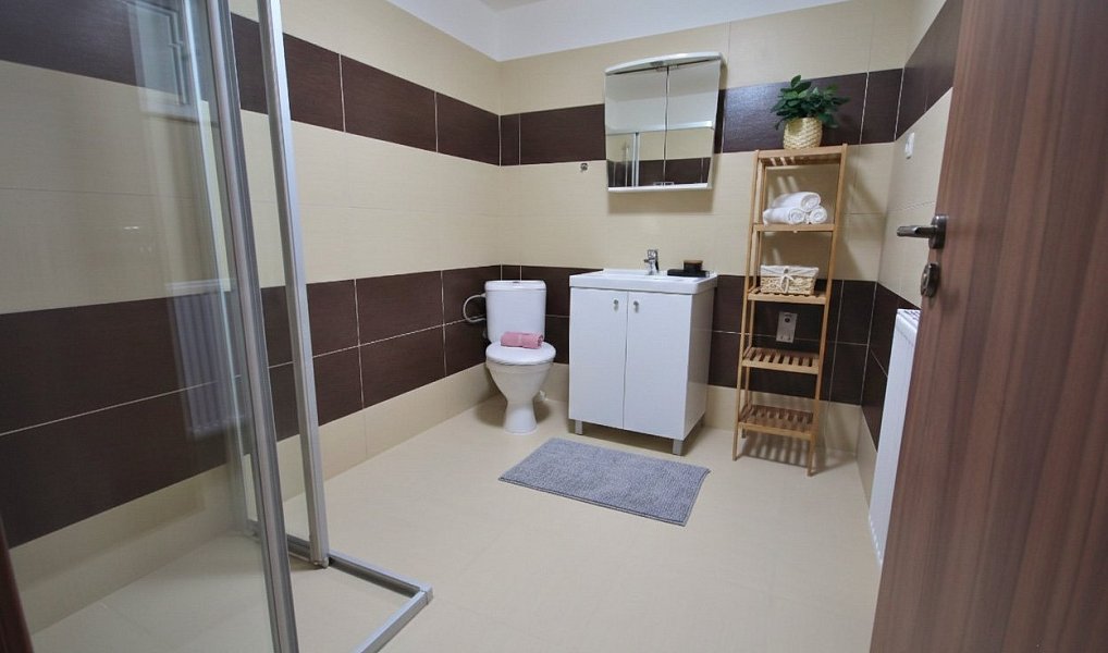 Prodej bytu 2+kk 53 m², Brno – náhled fotky 5