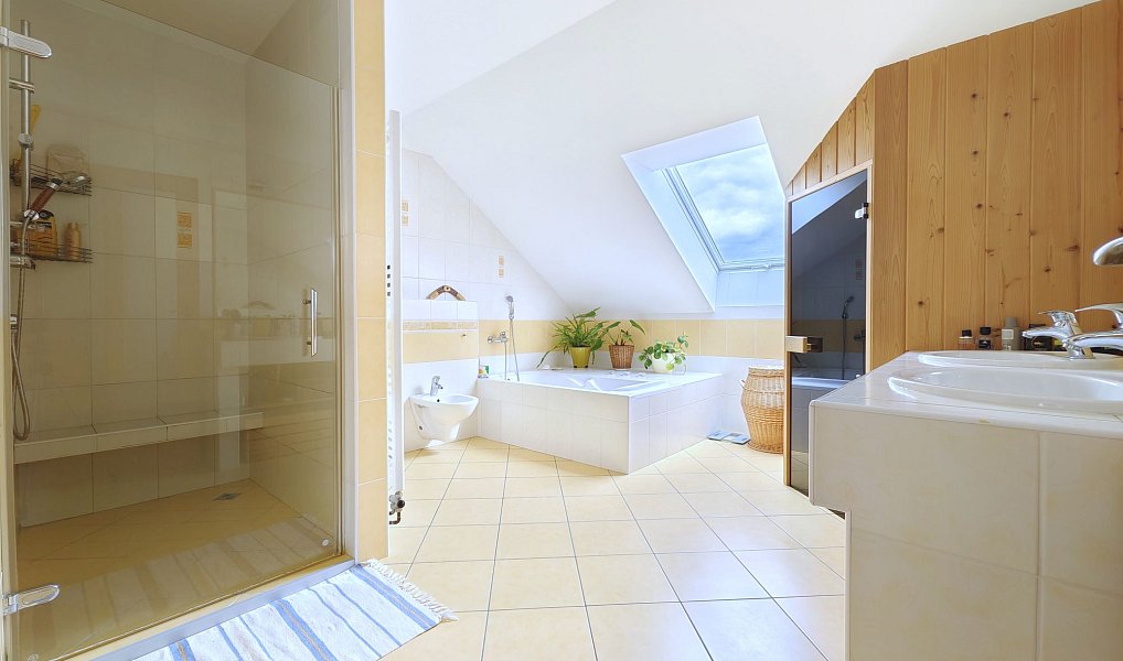Prodej domu 224 m² s pozemkem 816 m², Nový Vestec – náhled fotky 49